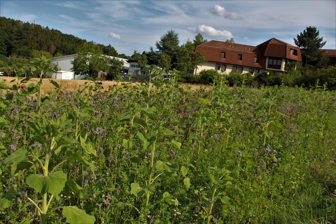 Landhotel Am Rothenberg Uslar Buitenkant foto